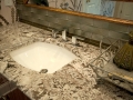 Sink